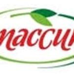 Maccun  Plus