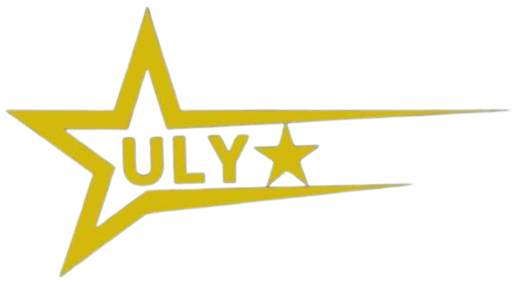 ULYSTAR &ndash; Professional Social Network, Jobs & Business Community Platform